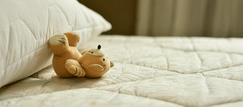 teddy bear on bed